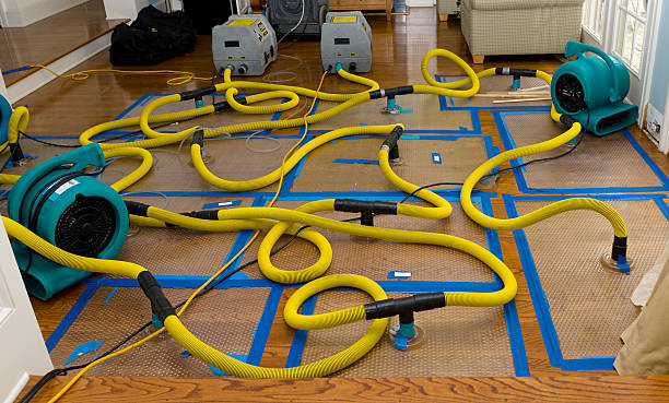Professional Water Damage Restoration technician working in Campbell, FL